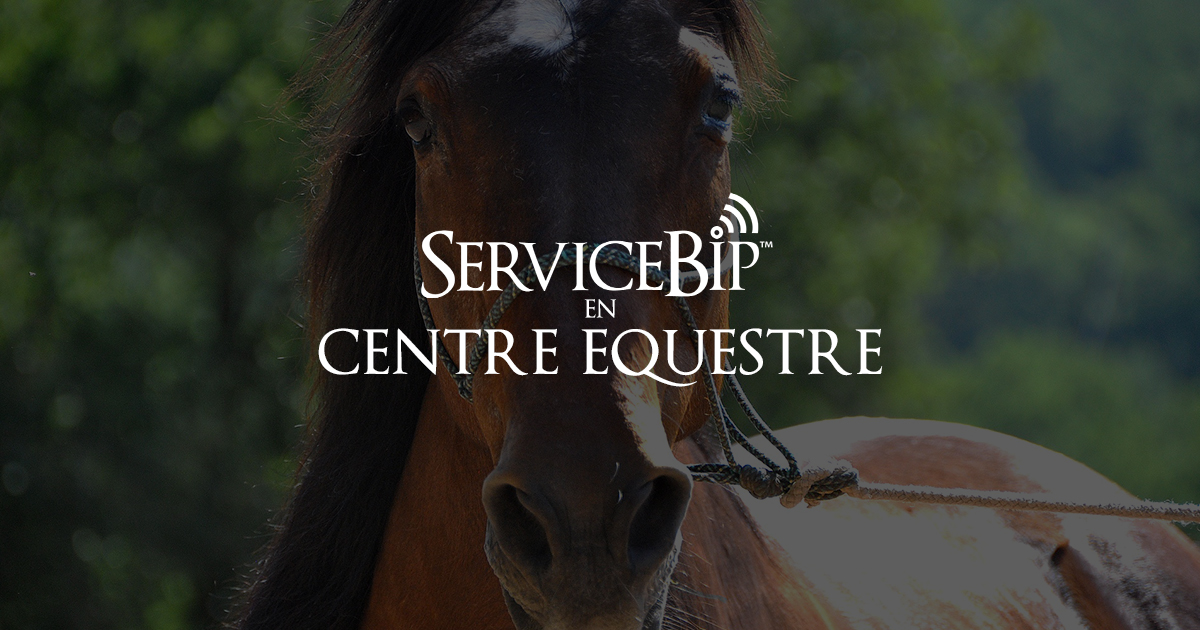 bipeur centre équitation